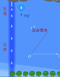 物理girl（37张超震撼的物理动图，看完根本停不下来）