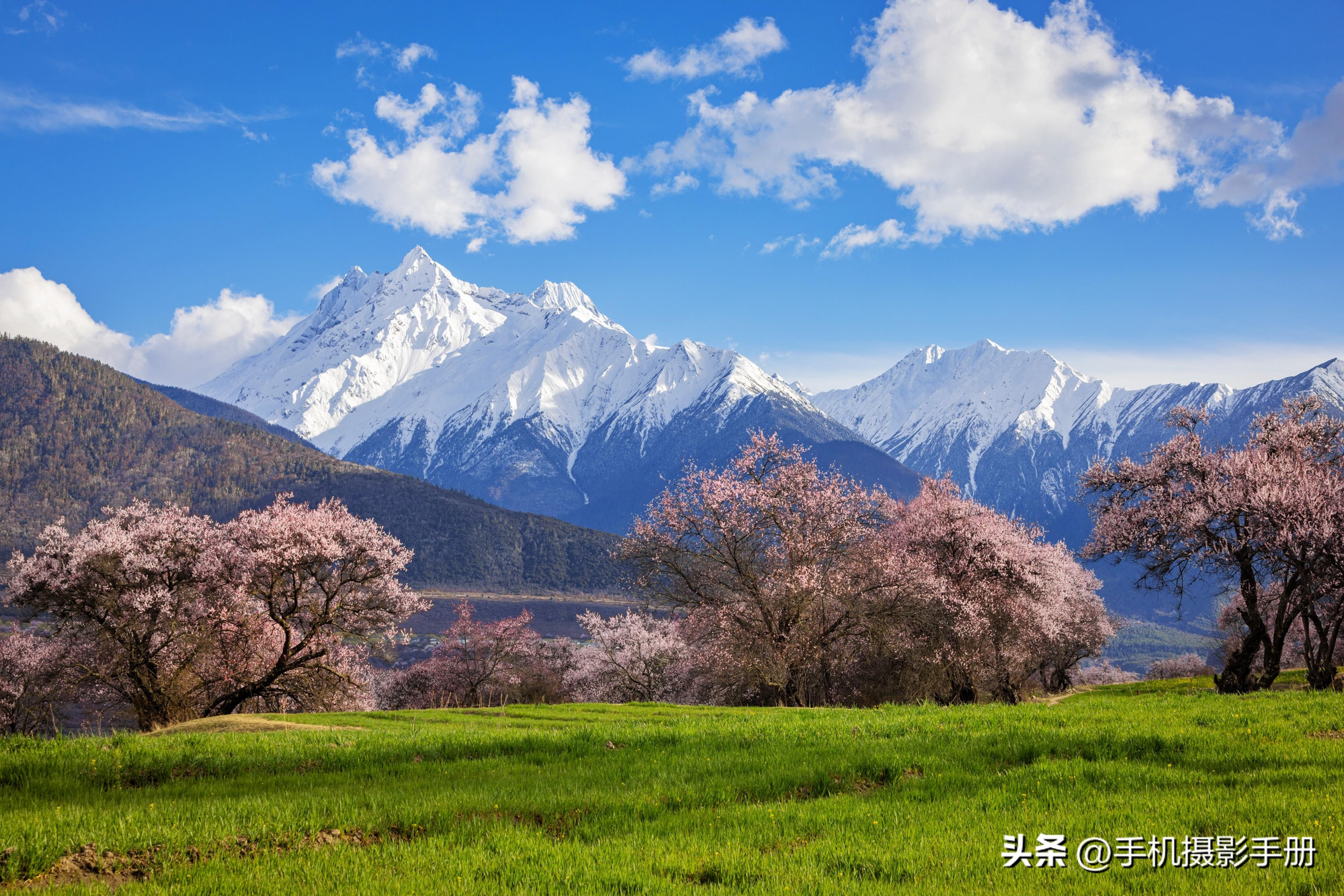 像素越高越好吗?（什么是像素，相机的像素越多画质越好么？）