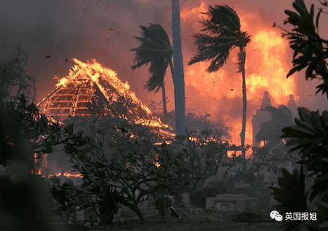 夏威夷火山是什么火山（人间炼狱！夏威夷史上最恐怖山火，89人惨死，小镇一夜烧成灰烬）