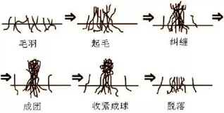 为什么马桶的水一直往上升（为什么满满一盆水倒进去，马桶里的水反而越来越少？| No.385）