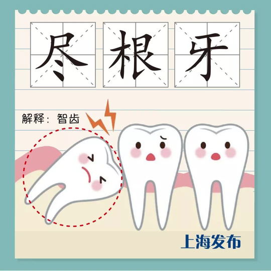 上海话呀呀什么意思（阔板牙、尽根牙、老虎牙，今朝阿拉来讲讲上海话里的“牙子”）