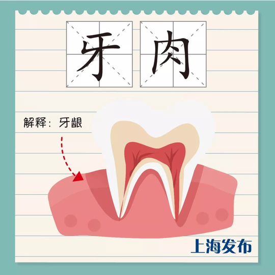 上海话呀呀什么意思（阔板牙、尽根牙、老虎牙，今朝阿拉来讲讲上海话里的“牙子”）