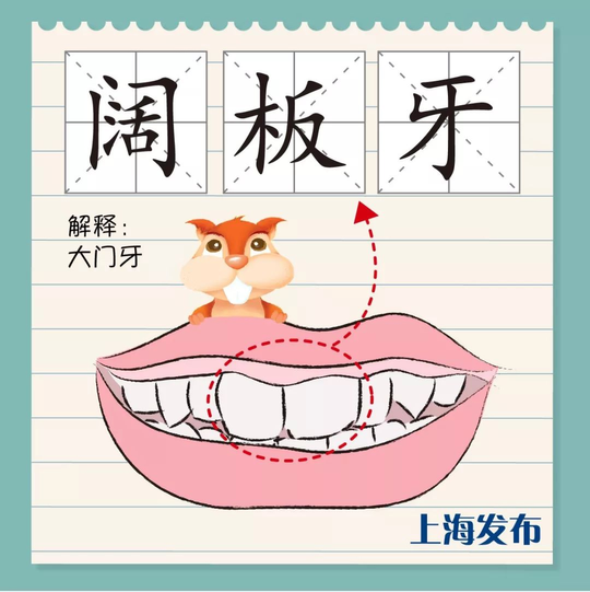 上海话呀呀什么意思（阔板牙、尽根牙、老虎牙，今朝阿拉来讲讲上海话里的“牙子”）