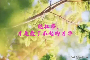 俞敏洪金句（俞敏洪：一个人最大的才华就是扛事（深度好文））