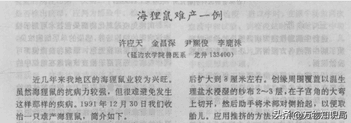 超大的老鼠忽然死在大街上（上海多地发现“巨大老鼠”，最小一只10斤，不仅打不得还吃不得？）