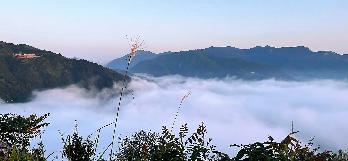 生命中的光什么意思（实在太美了，忍不住和你分享，感恩生命里这些“光”的存在）