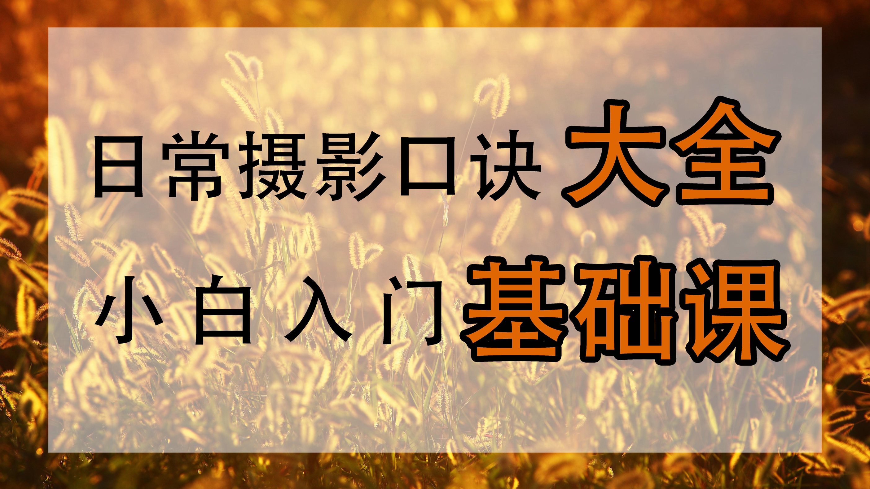 手机拍微距技巧（咋用手机拍摄微距？参数怎么调节，总拍不清晰该咋办）